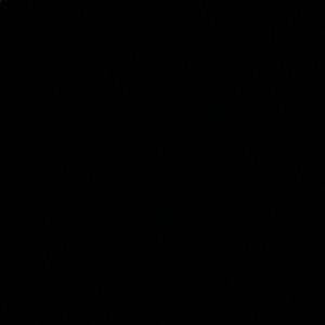 Meet your Posher, Bruce